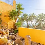 Macondo Hills Altea