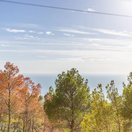 Macondo Hills * Altea